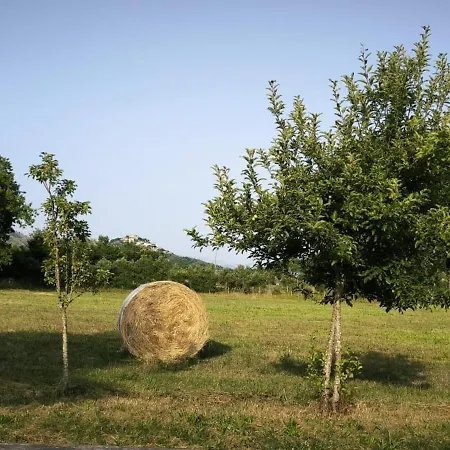 Fons Clara Domus Et Eventi *