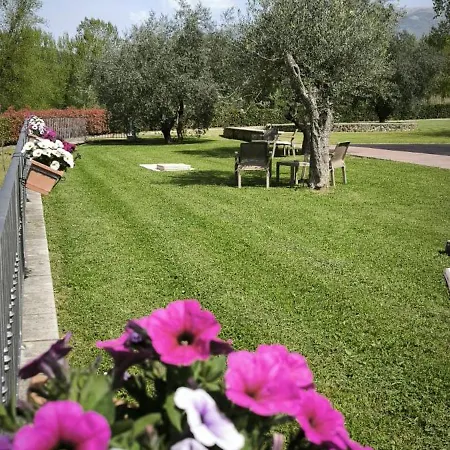 Fons Clara Domus Et Eventi Guest house *